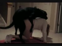 Sexy chick got fucked in the living room by dog xxx